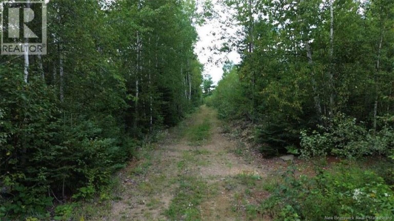 PID 40120263 King George Highway, Miramichi, New Brunswick, E1V5R3