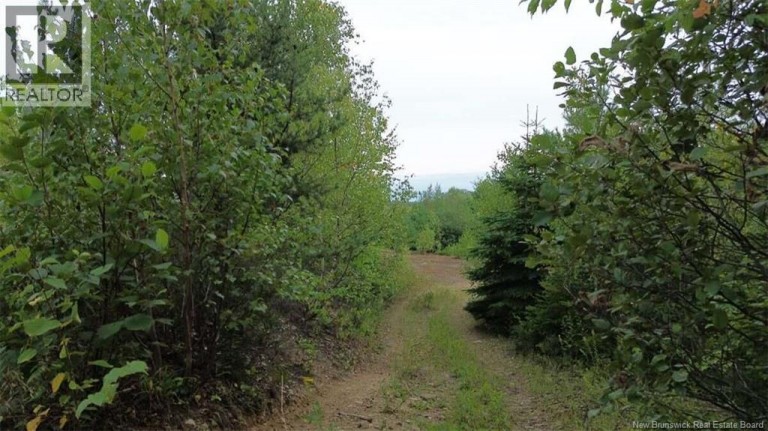 PID 40120263 King George Highway, Miramichi, New Brunswick, E1V5R3