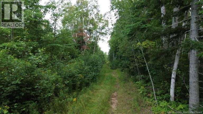 PID 40120263 King George Highway, Miramichi, New Brunswick, E1V5R3