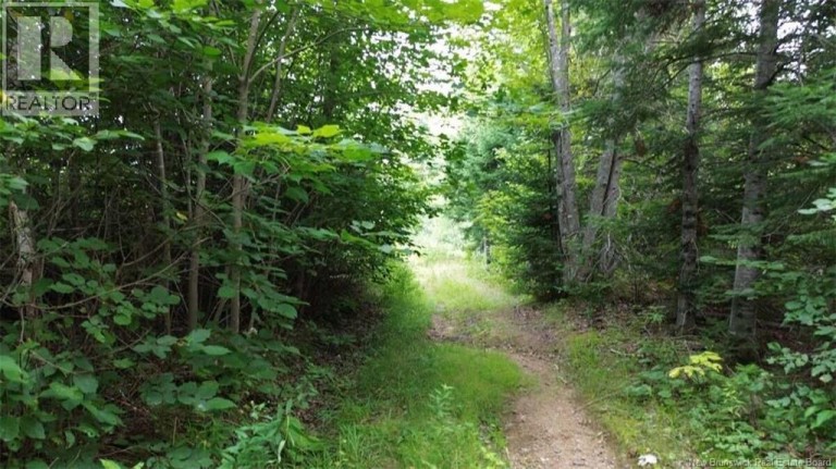 PID 40120263 King George Highway, Miramichi, New Brunswick, E1V5R3