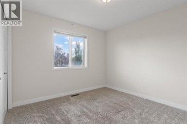 31 Saddletree Drive NE Calgary Alberta photo 22