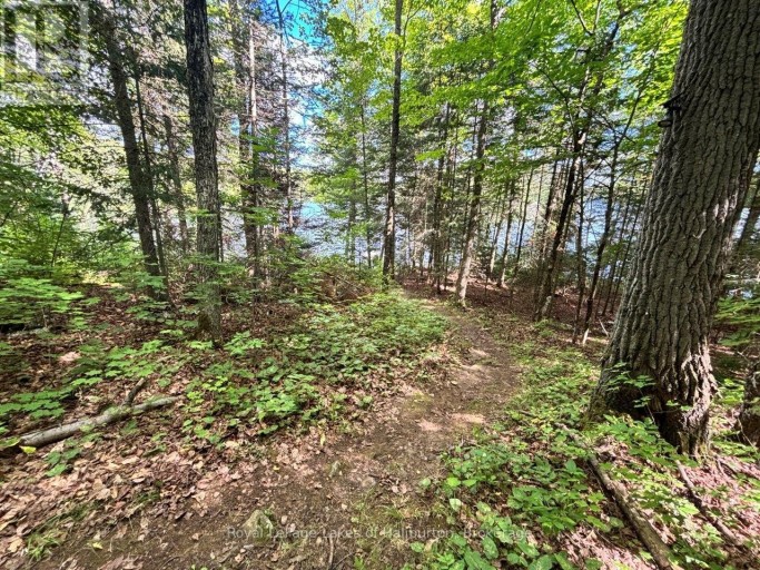 1214 HUBBARD & MONTGOMERY LANE, Highlands East (Glamorgan), Ontario, K0M1S0