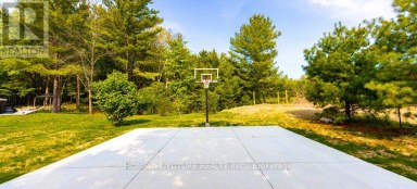 1559 NORTH BELMONT CONCESSION Havelock-Belmont-Methuen (Belmont-Methuen) Ontario photo 2