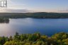 1155 WOLF CIRCLE, Algonquin Highlands (sherborne), Ontario, P0A1E0 (ID X13747820)