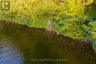 1155 WOLF CIRCLE, Algonquin Highlands (sherborne), Ontario, P0A1E0 (ID X13747820)
