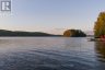1155 WOLF CIRCLE, Algonquin Highlands (sherborne), Ontario, P0A1E0 (ID X13747820)
