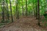 1155 WOLF CIRCLE, Algonquin Highlands (sherborne), Ontario, P0A1E0 (ID X13747820)