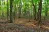 1155 WOLF CIRCLE, Algonquin Highlands (sherborne), Ontario, P0A1E0 (ID X13747820)