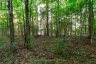 1155 WOLF CIRCLE, Algonquin Highlands (sherborne), Ontario, P0A1E0 (ID X13747820)
