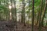 1155 WOLF CIRCLE, Algonquin Highlands (sherborne), Ontario, P0A1E0 (ID X13747820)