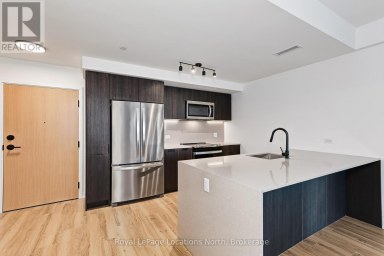 203 - 31 HURON STREET Collingwood Ontario photo 13