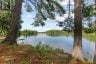103B CARRIAGE LANDING ROAD, Horton, Ontario, K0J1Y0 (ID X13748230)