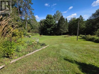 342 BOBCAYGEON ROAD Minden Hills (Minden) Ontario photo 26