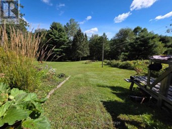 342 BOBCAYGEON ROAD Minden Hills (Minden) Ontario photo 35