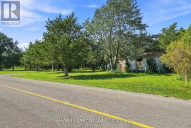 4561 COUNTY ROAD 13 ROAD Prince Edward County (South Marysburg Ward) Ontario photo 11