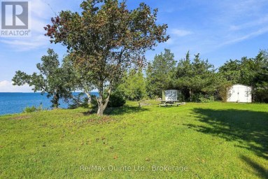 4561 COUNTY ROAD 13 ROAD Prince Edward County (South Marysburg Ward) Ontario photo 16