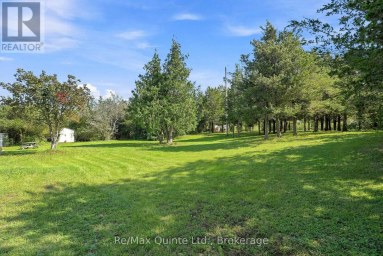 4561 COUNTY ROAD 13 ROAD Prince Edward County (South Marysburg Ward) Ontario photo 17
