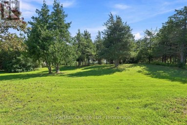 4561 COUNTY ROAD 13 ROAD Prince Edward County (South Marysburg Ward) Ontario photo 18