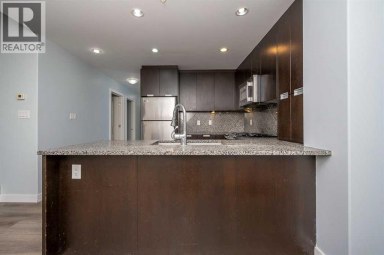 2007, 99 Spruce Place SW Calgary Alberta photo 11