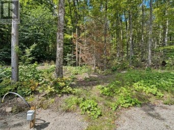 1211 PLUTO TRAIL Dysart et al (Dudley) Ontario photo 32