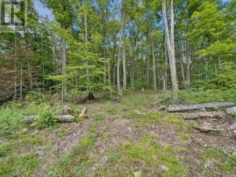1211 PLUTO TRAIL Dysart et al (Dudley) Ontario photo 33