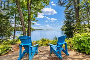 9 SAWDUST BAY ROAD N Carling Ontario photo 38