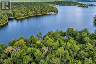 9 SAWDUST BAY ROAD N Carling Ontario photo 50