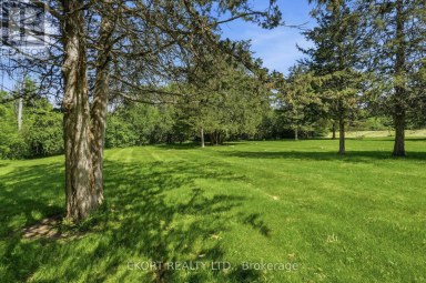 53 O'NEILL DRIVE Belleville (Belleville Ward) Ontario photo 43