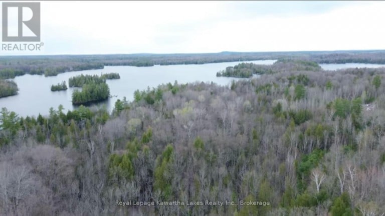 0 CRYSTAL LAKE ROAD, Trent Lakes, Ontario, K0M2A0