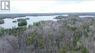 0 CRYSTAL LAKE ROAD Trent Lakes Ontario photo 1