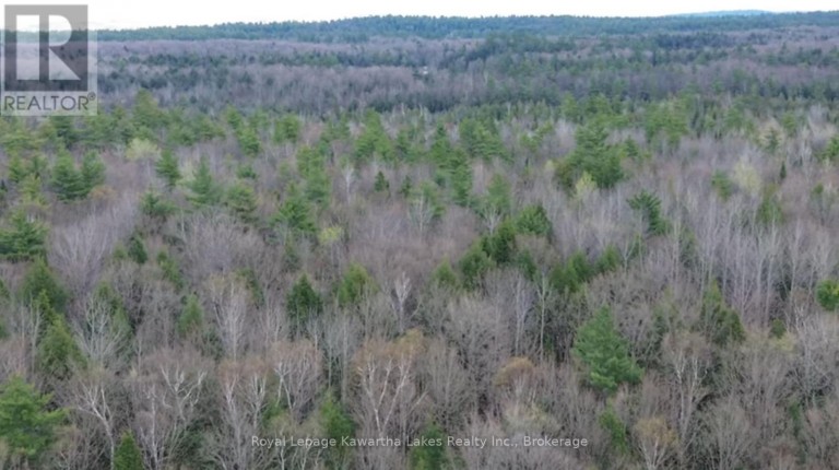 0 CRYSTAL LAKE ROAD, Trent Lakes, Ontario, K0M2A0