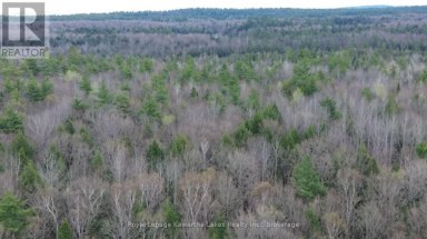 0 CRYSTAL LAKE ROAD Trent Lakes Ontario photo 14