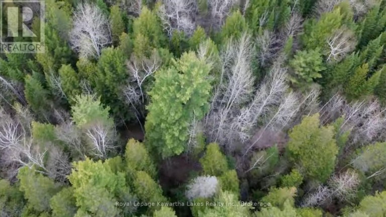 0 CRYSTAL LAKE ROAD, Trent Lakes, Ontario, K0M2A0