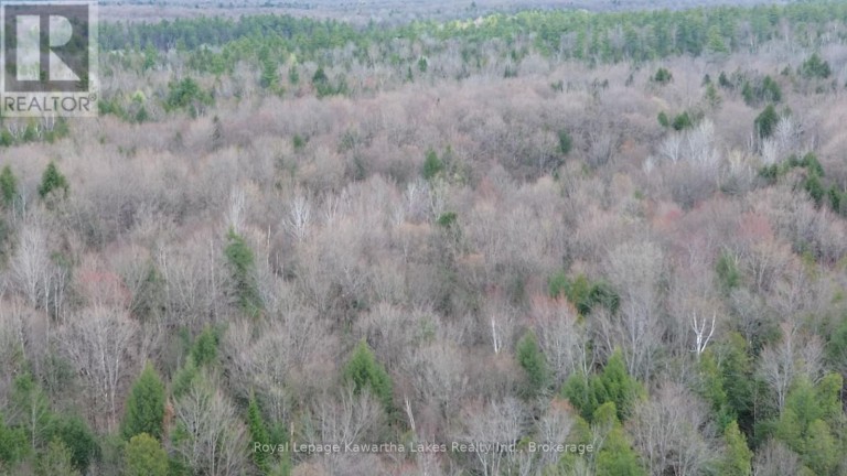 0 CRYSTAL LAKE ROAD, Trent Lakes, Ontario, K0M2A0