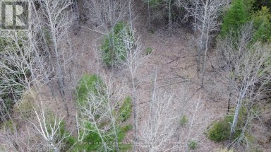 0 CRYSTAL LAKE ROAD Trent Lakes Ontario photo 17