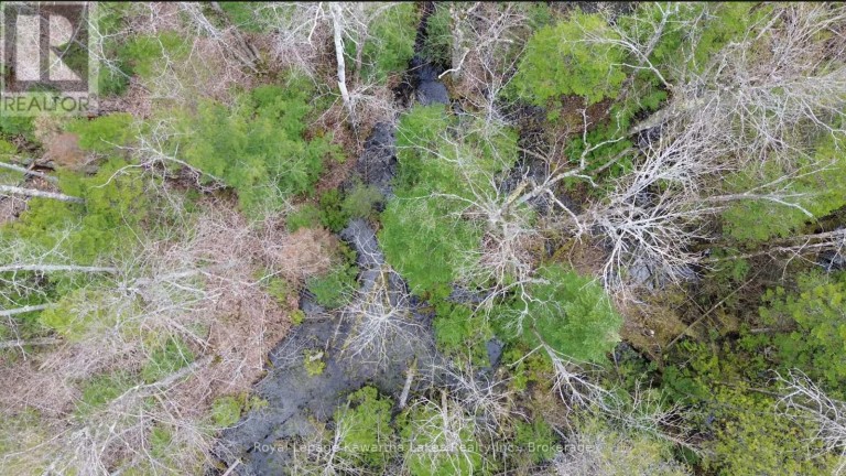 0 CRYSTAL LAKE ROAD, Trent Lakes, Ontario, K0M2A0