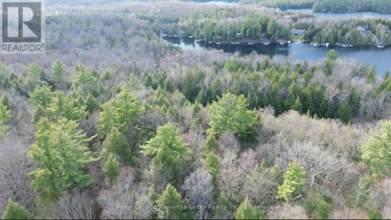 0 CRYSTAL LAKE ROAD, Trent Lakes, Ontario, K0M2A0