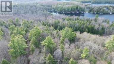0 CRYSTAL LAKE ROAD Trent Lakes Ontario photo 19
