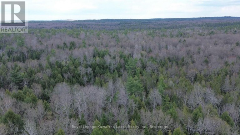 0 CRYSTAL LAKE ROAD, Trent Lakes, Ontario, K0M2A0