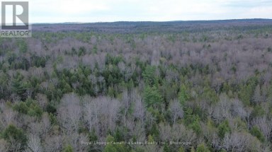 0 CRYSTAL LAKE ROAD Trent Lakes Ontario photo 2