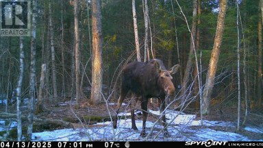 0 CRYSTAL LAKE ROAD Trent Lakes Ontario photo 4