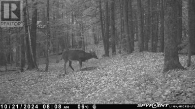 0 CRYSTAL LAKE ROAD Trent Lakes Ontario photo 5