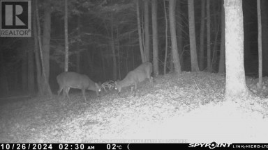0 CRYSTAL LAKE ROAD Trent Lakes Ontario photo 6
