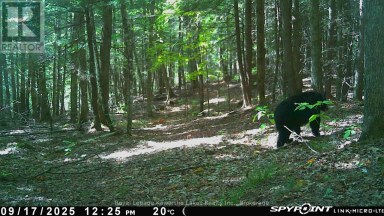 0 CRYSTAL LAKE ROAD Trent Lakes Ontario photo 7