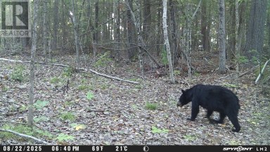 0 CRYSTAL LAKE ROAD Trent Lakes Ontario photo 9