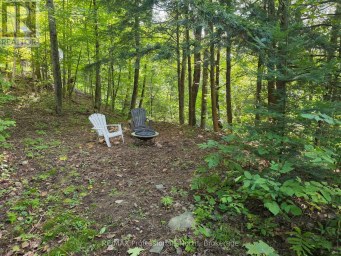 1258-2 WINDERMERE ROAD Muskoka Lakes (Watt) Ontario photo 26