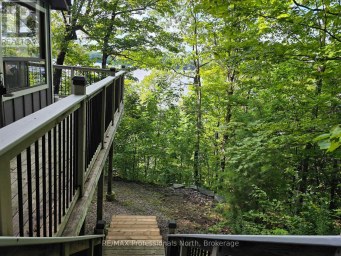 1258-2 WINDERMERE ROAD Muskoka Lakes (Watt) Ontario photo 29