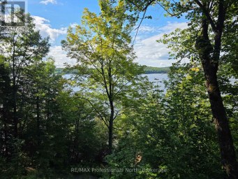 1258-2 WINDERMERE ROAD Muskoka Lakes (Watt) Ontario photo 38