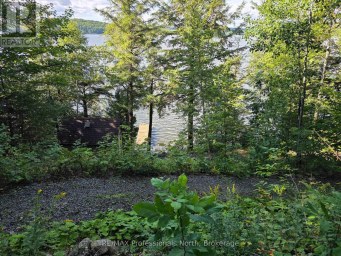 1258-2 WINDERMERE ROAD Muskoka Lakes (Watt) Ontario photo 39