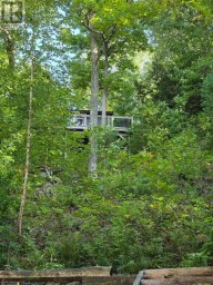 1258-2 WINDERMERE ROAD Muskoka Lakes (Watt) Ontario photo 42